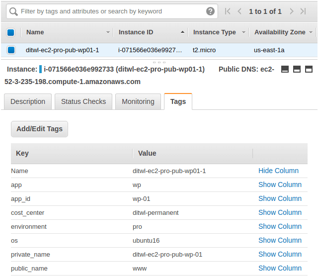 ansible-aws-ec2-terraform-tags - ansible-aws-ec2-terraform-tags-ec2.png