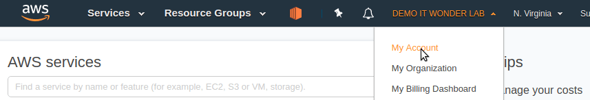 Account - aws_billing_account.png